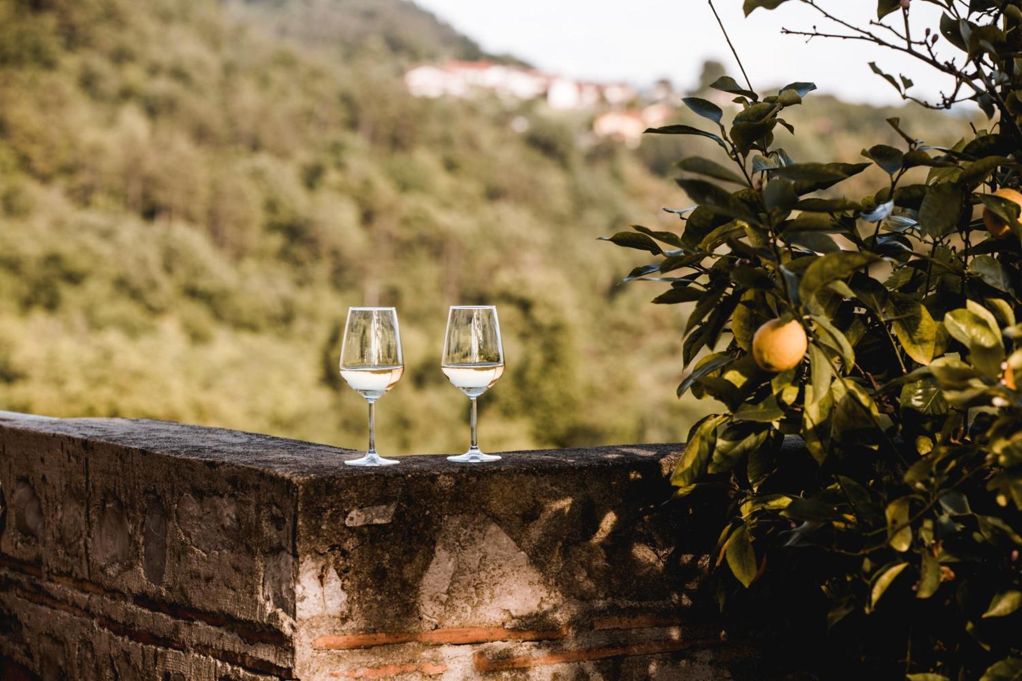 Apartamento Vina Kobal, Kobal Family Estate Štanjel Exterior foto