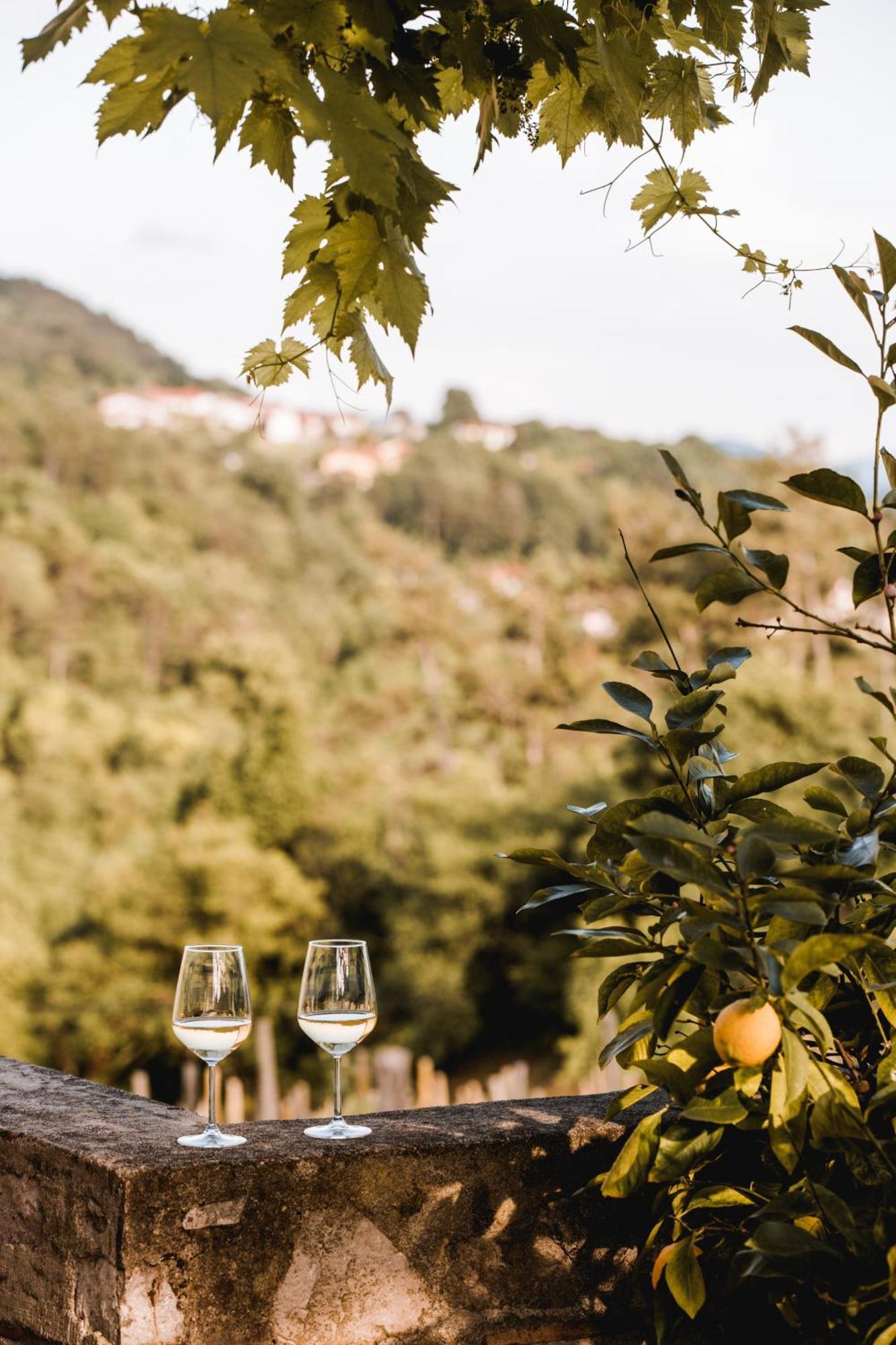Apartamento Vina Kobal, Kobal Family Estate Štanjel Exterior foto
